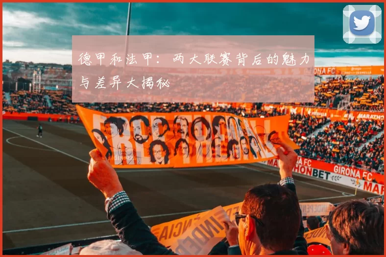德甲和法甲：两大联赛背后的魅力与差异大揭秘