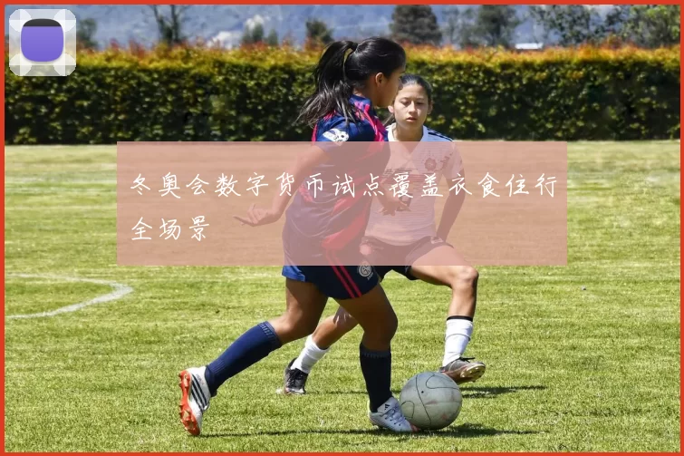 冬奥会数字货币试点覆盖衣食住行全场景