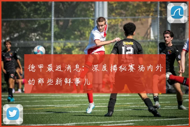 德甲最近消息:深度揭秘赛场内外的那些新鲜事儿