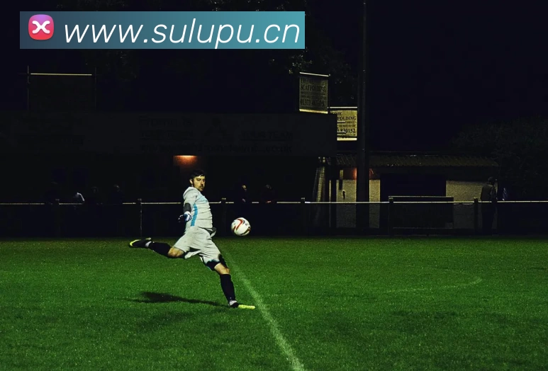 开云·kaiyun体育(中国大陆)官方网站 登录入口平台生态图