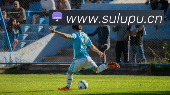 开云·kaiyun体育(中国大陆)官方网站 登录入口APP 封面图